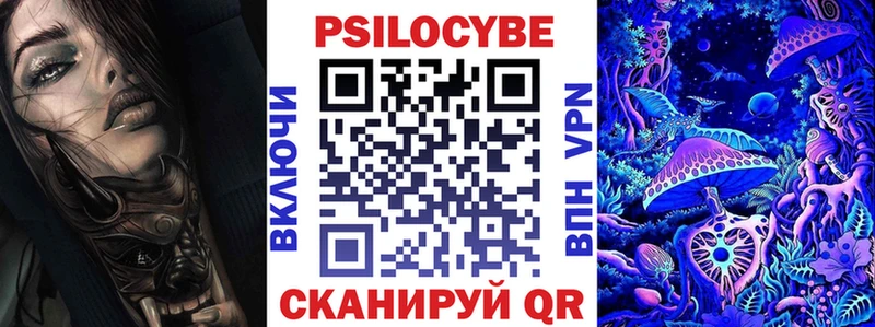 Галлюциногенные грибы Psilocybe  магазин продажи наркотиков  Дальнегорск 