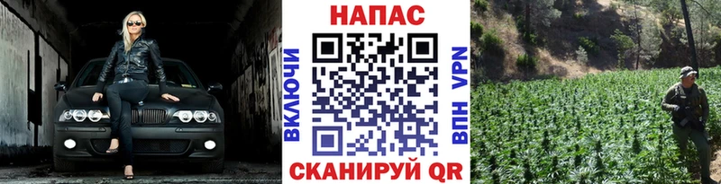 Марихуана OG Kush  купить   Дальнегорск 